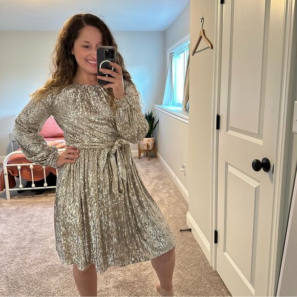 NWT Anthropologie Sachin & Babi Silver Sequin Mini Dress 4 - Picture 4 of 16